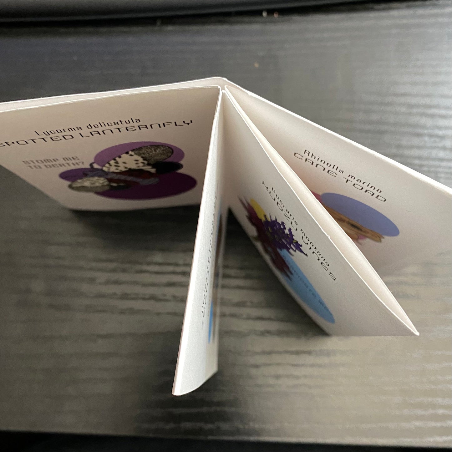 Invasive Species having Existential Crises - mini zine