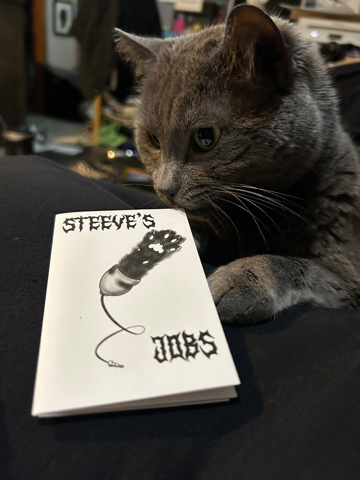 Steeve’s Jobs: A Summary of Cat Employment - Mini Zine