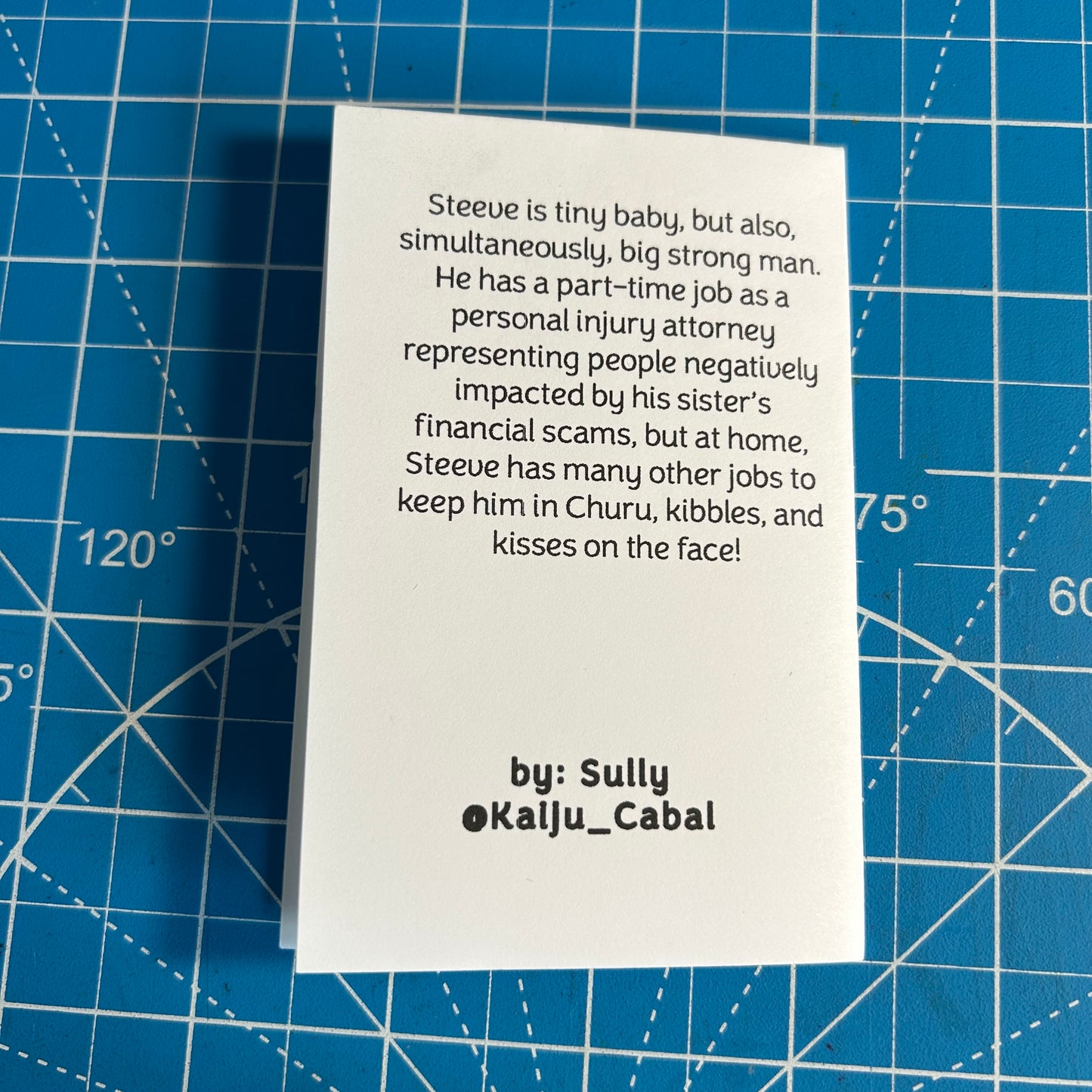 Steeve’s Jobs: A Summary of Cat Employment - Mini Zine