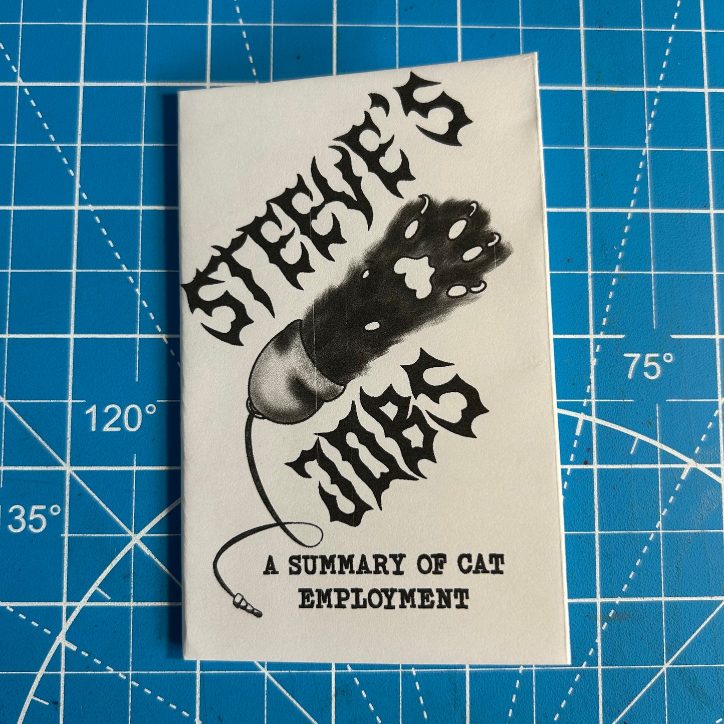 Steeve’s Jobs: A Summary of Cat Employment - Mini Zine