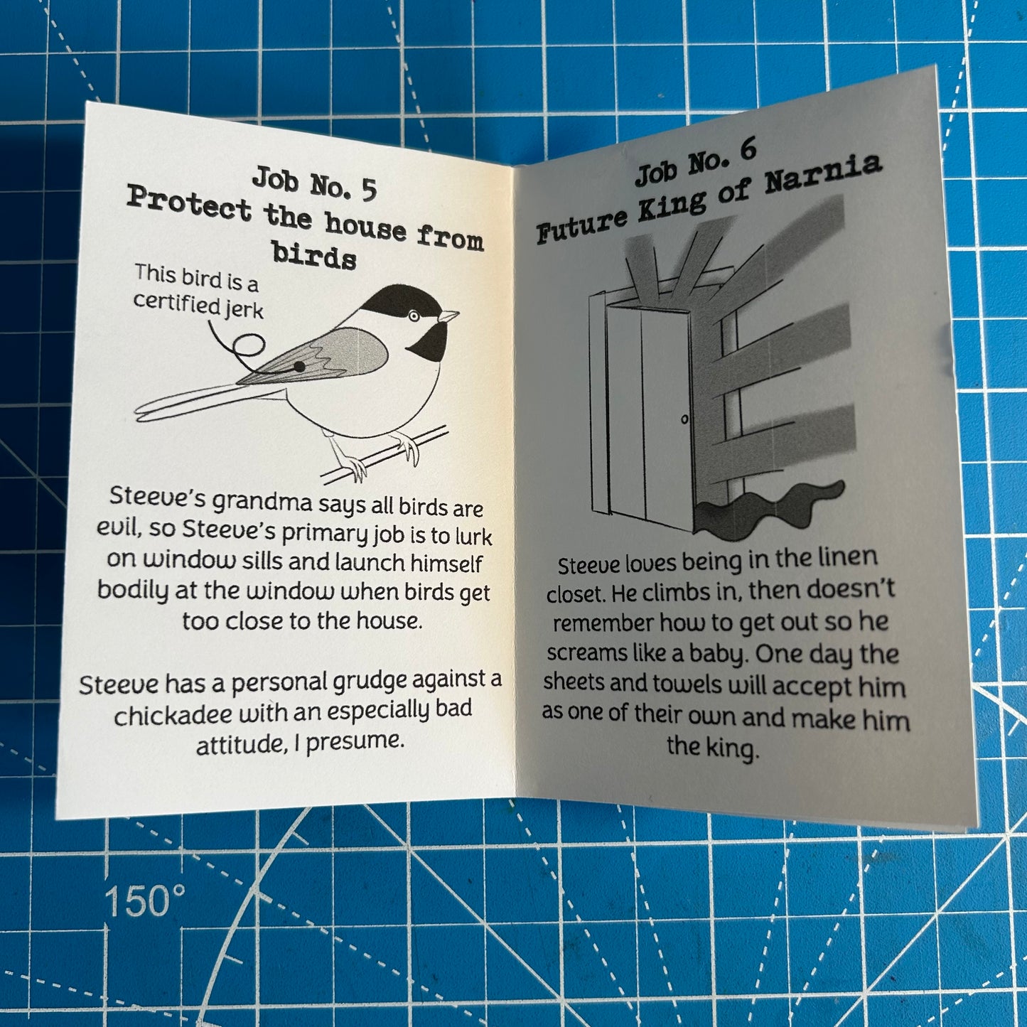 Steeve’s Jobs: A Summary of Cat Employment - Mini Zine