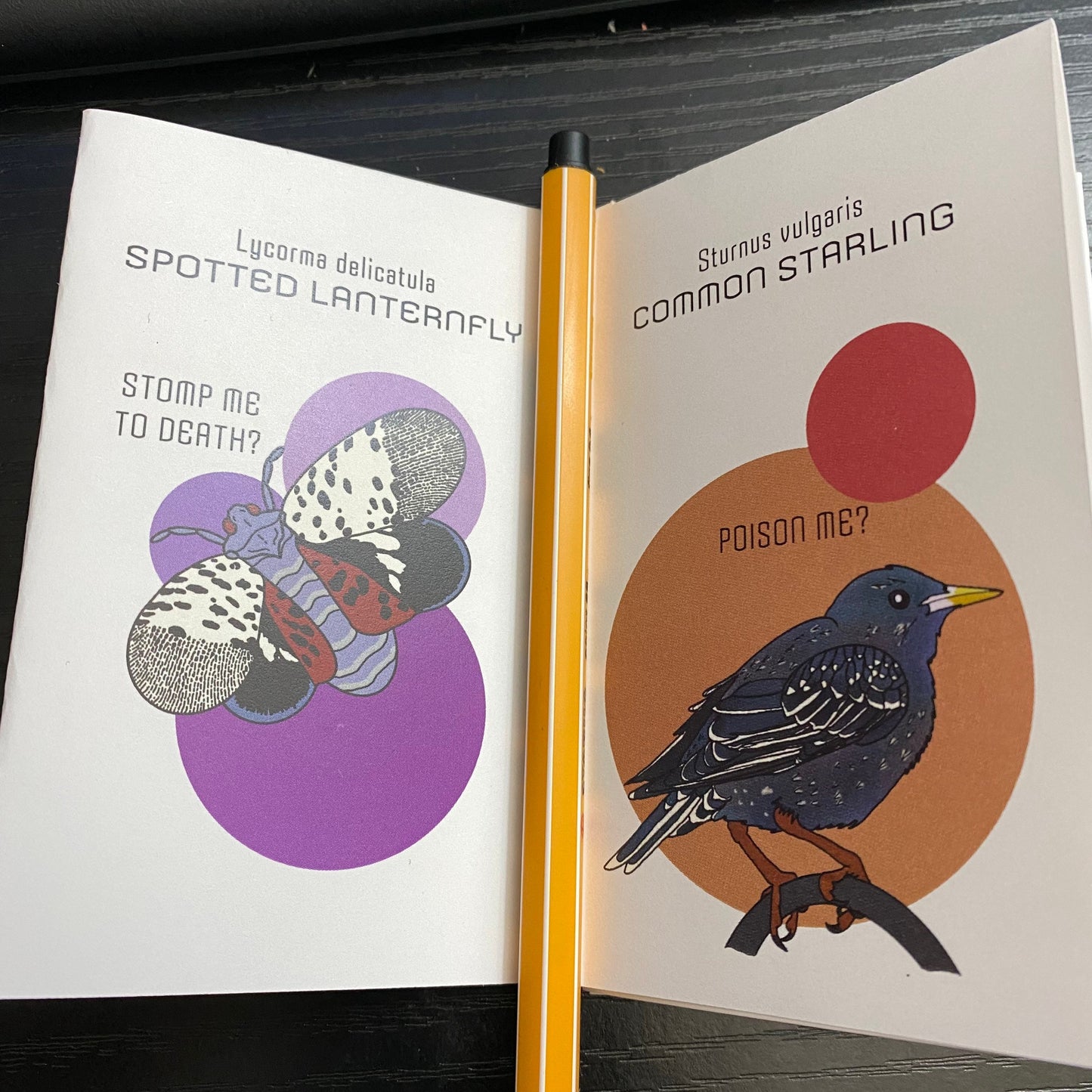 Invasive Species having Existential Crises - mini zine