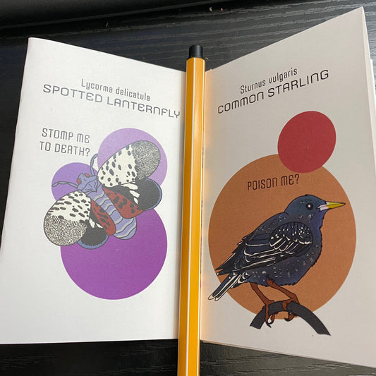 Invasive Species having Existential Crises - mini zine